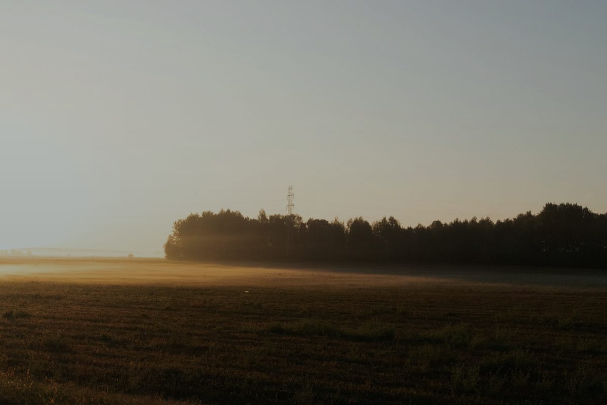 Mist lifting off open ground at sunrise